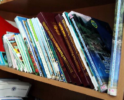 Экскурсия в мир детской книги