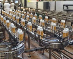 Малый бизнес решил бойкотировать Ирбитский завод, продающий молоко слишком дорого