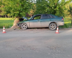 В Ирбите водитель автомобиля врезался в дерево